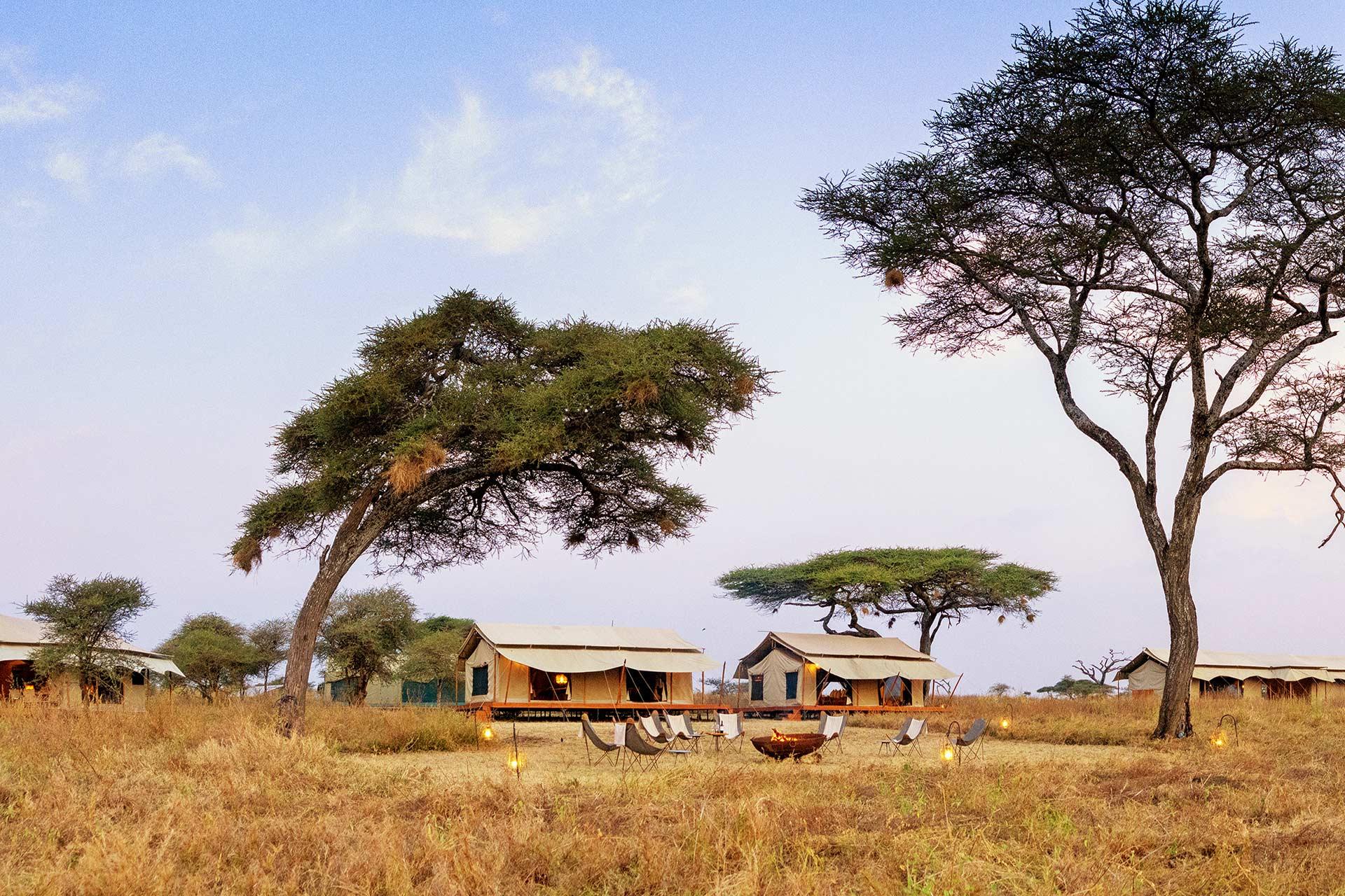 View from luxury tent in the central Serengeti