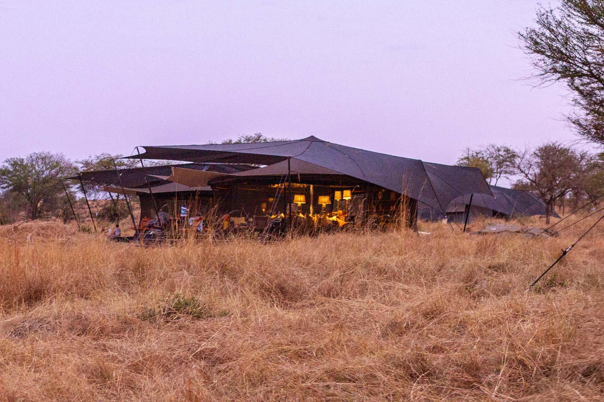 The Bedouin-style tents are positioned on a raised platforms to give you a 360-degree view of the plains...